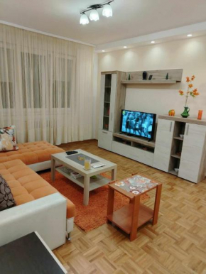 Star Apartment Belgrade 1